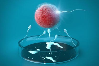 培养室